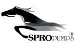 S PRO PUMPS S PRO PUMPS